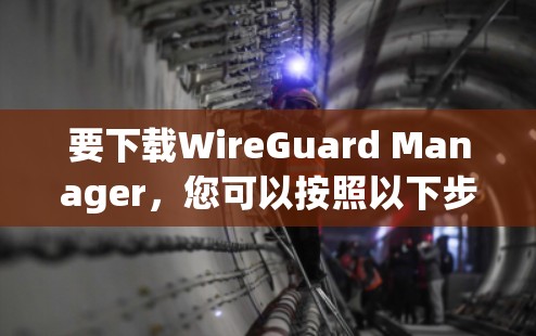 要下载WireGuard Manager,您可以按照以下步骤操作 要下载WireGuard Manager,您可以按照以下步骤操作