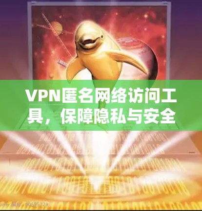 VPN匿名网络访问工具，保障隐私与安全