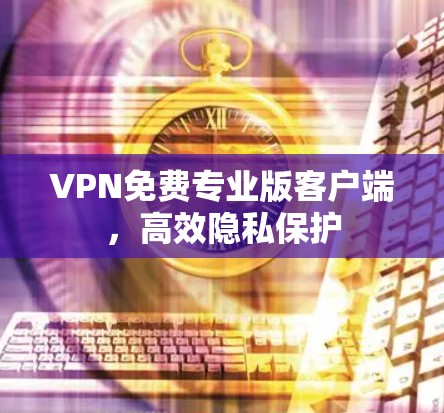 VPN免费专业版客户端，高效隐私保护